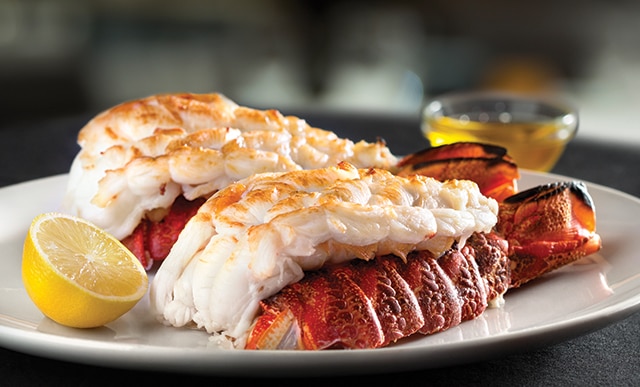 Dinner Menu Ed Vs Prime Seafood Restaurant Try Two Cold Water Lobster Tails Broiled With A Side Of Lemon For Your Main Course
